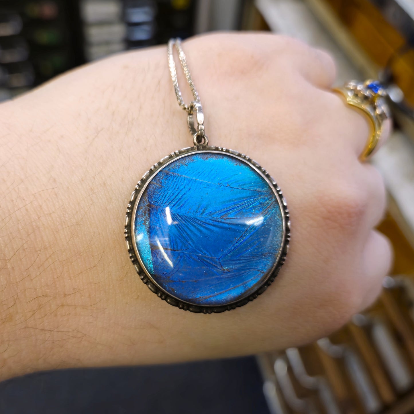 Sterling Silver Vintage Blue Morpho Butterfly Wing Pendant and Chain Necklace