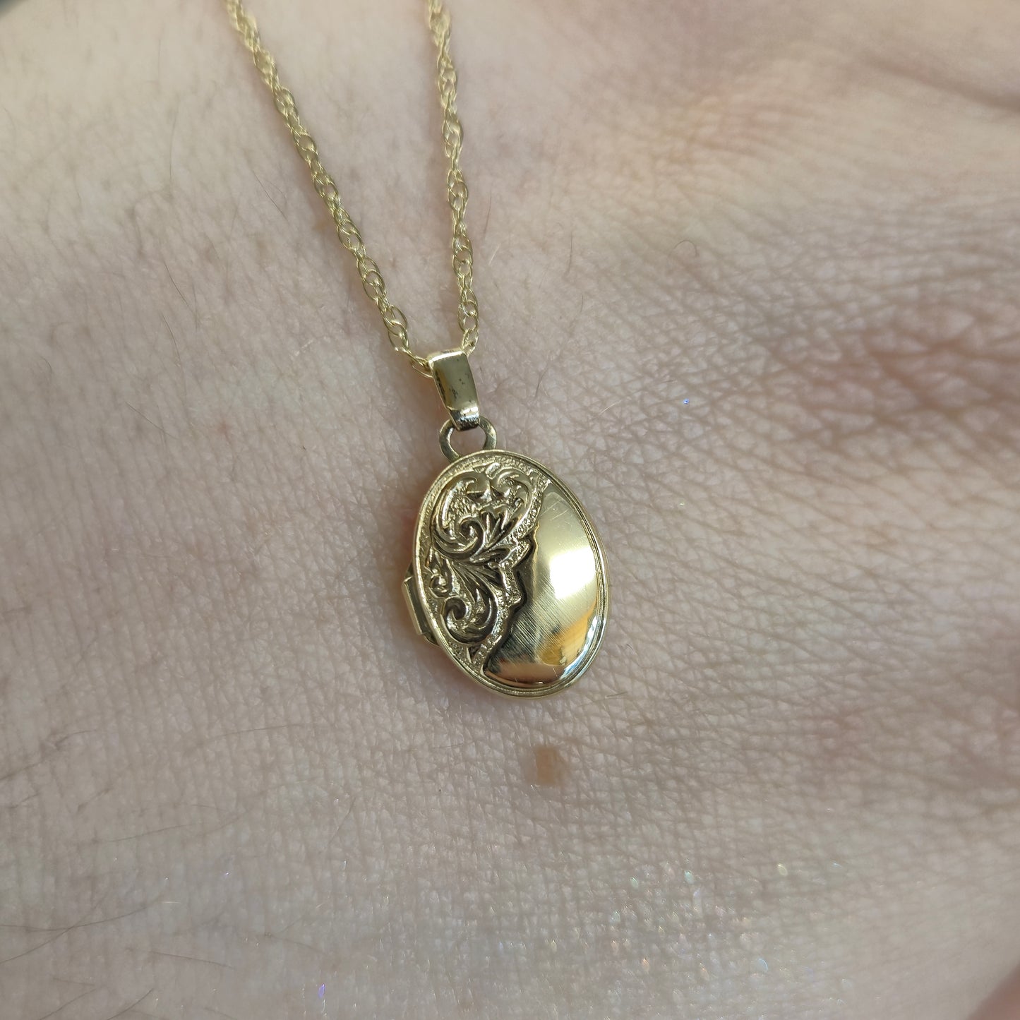 9ct Yellow Gold Small Oval Half Patterned Locket and Chain Necklace