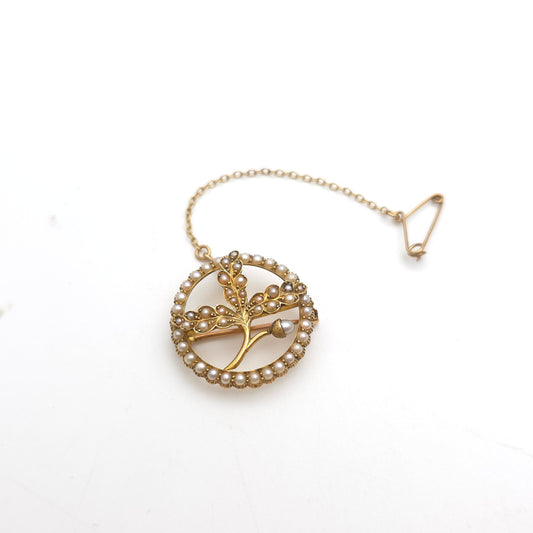 15ct Yellow Gold Antique Pearl Set Oak Leaf & Acorn Brooch With Safety Chain