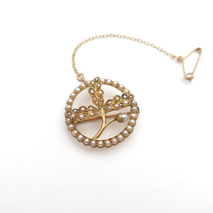15ct Yellow Gold Antique Pearl Set Oak Leaf & Acorn Brooch With Safety Chain