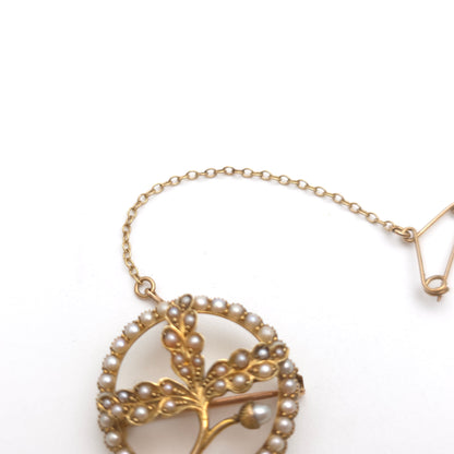 15ct Yellow Gold Antique Pearl Set Oak Leaf & Acorn Brooch With Safety Chain