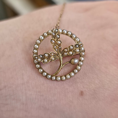 15ct Yellow Gold Antique Pearl Set Oak Leaf & Acorn Brooch With Safety Chain