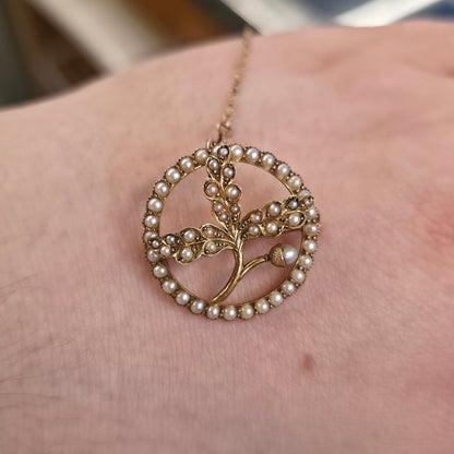 15ct Yellow Gold Antique Pearl Set Oak Leaf & Acorn Brooch With Safety Chain