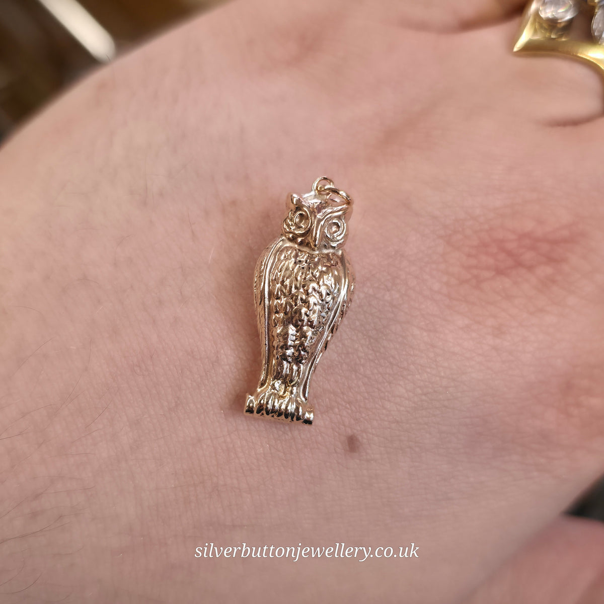9ct Yellow Gold XL Hollow Detailed Owl Charm / Pendant